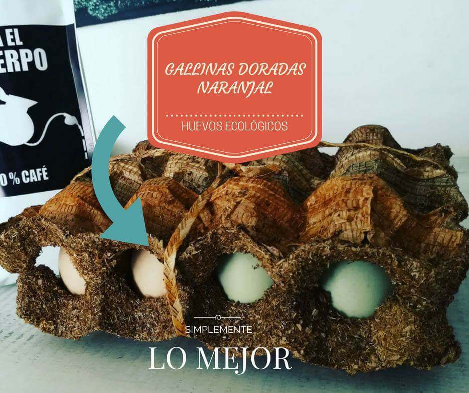 Empaque elaborado en Guasca de plátano, elaborado por madres cabeza de familia.