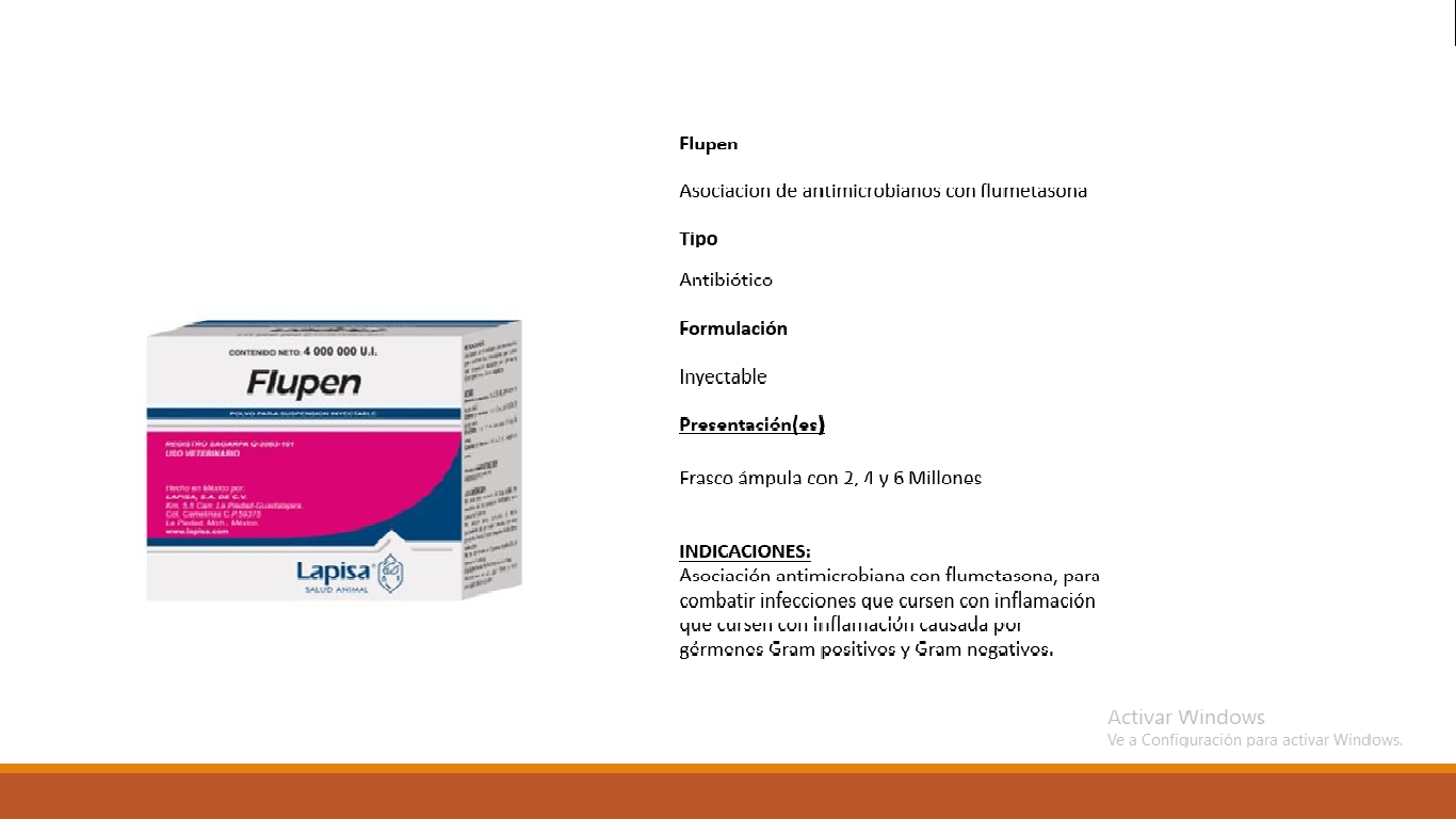 Mini Mezcladora Autopropulsada mini mezcladora autopropulsada